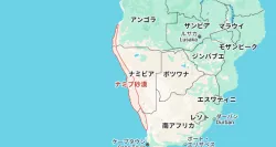 投稿の添付画像のサムネイル