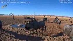 投稿の添付画像のサムネイル