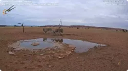 投稿の添付画像のサムネイル