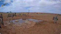 投稿の添付画像のサムネイル