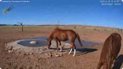 投稿の添付画像のサムネイル