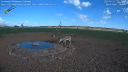 投稿の添付画像のサムネイル