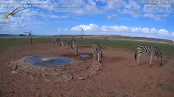 投稿の添付画像のサムネイル