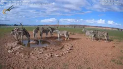 投稿の添付画像のサムネイル