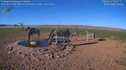 投稿の添付画像のサムネイル