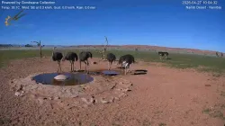 投稿の添付画像のサムネイル