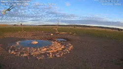 投稿の添付画像のサムネイル