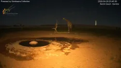 投稿の添付画像のサムネイル