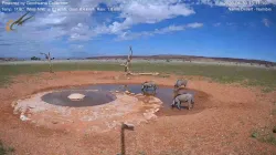 投稿の添付画像のサムネイル