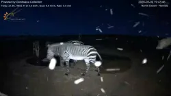 投稿の添付画像のサムネイル