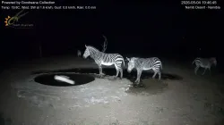 投稿の添付画像のサムネイル