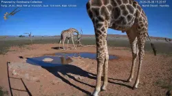 投稿の添付画像のサムネイル