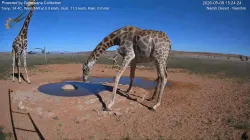 投稿の添付画像のサムネイル