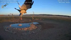 投稿の添付画像のサムネイル