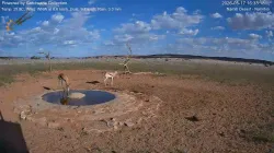 投稿の添付画像のサムネイル