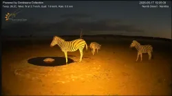 投稿の添付画像のサムネイル