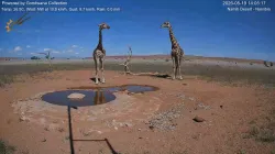 投稿の添付画像のサムネイル