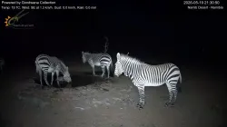 投稿の添付画像のサムネイル