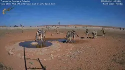 投稿の添付画像のサムネイル