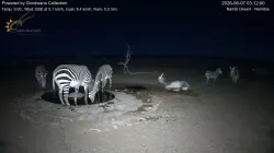 投稿の添付画像のサムネイル