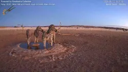 投稿の添付画像のサムネイル