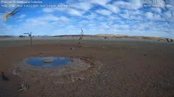 投稿の添付画像のサムネイル