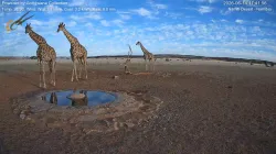 投稿の添付画像のサムネイル