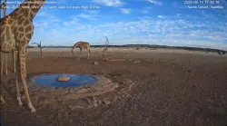 投稿の添付画像のサムネイル