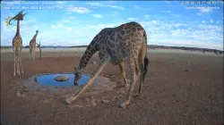 投稿の添付画像のサムネイル