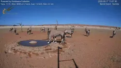投稿の添付画像のサムネイル