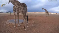 投稿の添付画像のサムネイル