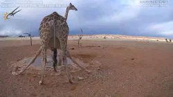 投稿の添付画像のサムネイル