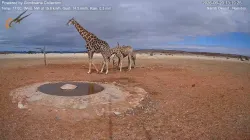 投稿の添付画像のサムネイル