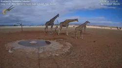 投稿の添付画像のサムネイル