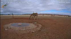 投稿の添付画像のサムネイル