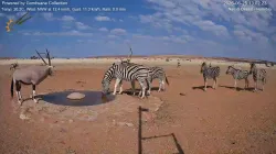 投稿の添付画像のサムネイル