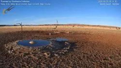 投稿の添付画像のサムネイル