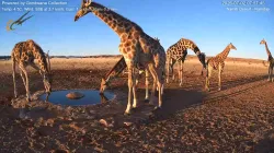 投稿の添付画像のサムネイル