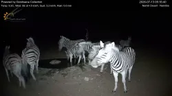 投稿の添付画像のサムネイル