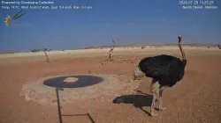 投稿の添付画像のサムネイル