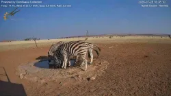 投稿の添付画像のサムネイル