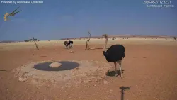 投稿の添付画像のサムネイル