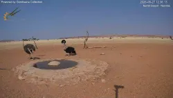 投稿の添付画像のサムネイル