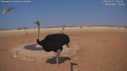 投稿の添付画像のサムネイル