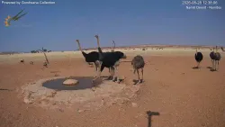投稿の添付画像のサムネイル