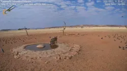 投稿の添付画像のサムネイル