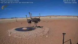 投稿の添付画像のサムネイル