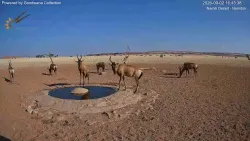 投稿の添付画像のサムネイル