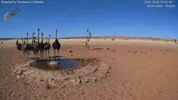 投稿の添付画像のサムネイル