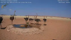 投稿の添付画像のサムネイル
